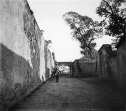 Criança montada em burro junto ao arco da Quinta de Caparide | Child riding a donkey (Quinta de Caparide)