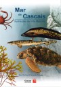 Mar de Cascais: ilustrações de vida marinha