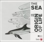 The sea and the origin of life