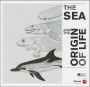 The sea and the origin of life
